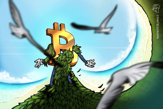 🔴 >> Los grupos ecologistas quieren que Bitcoin siga el ejemplo de Ethereum para pasar al proof-of-stake