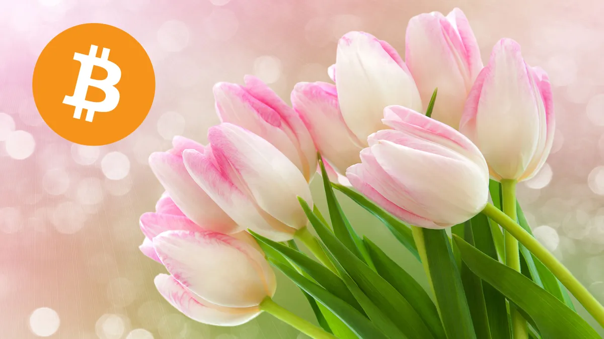 🔴 >> Una startup de Países Bajos utiliza la minería de Bitcoin para cultivar tulipanes
