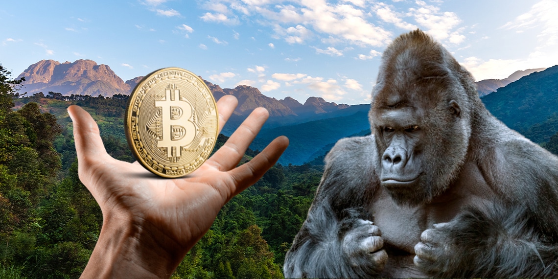 🔴 >> Con bitcoin quieren salvar al parque silvestre más antiguo de África