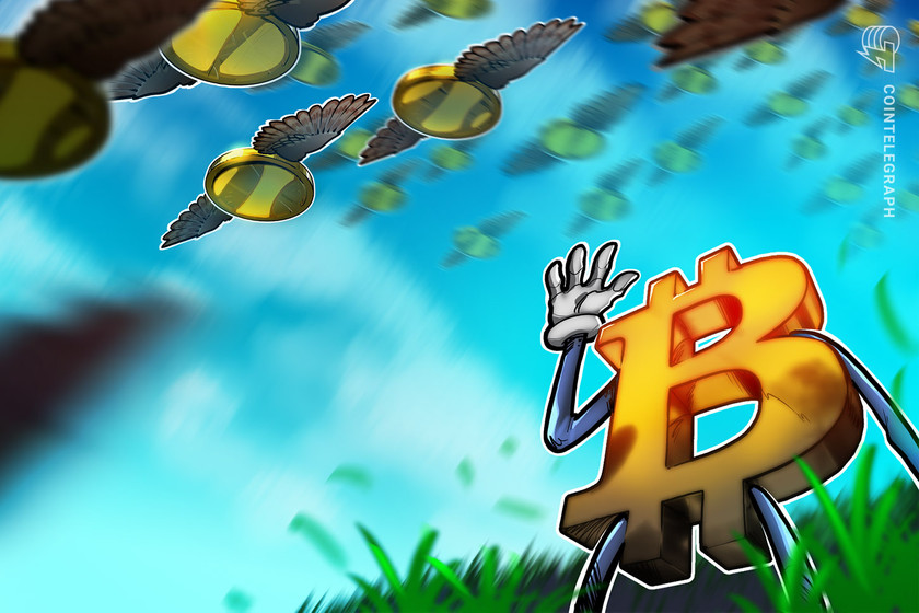 🔴 >> Más allá de Bitcoin: Explorando la diversificación en la evolución del mercado cripto