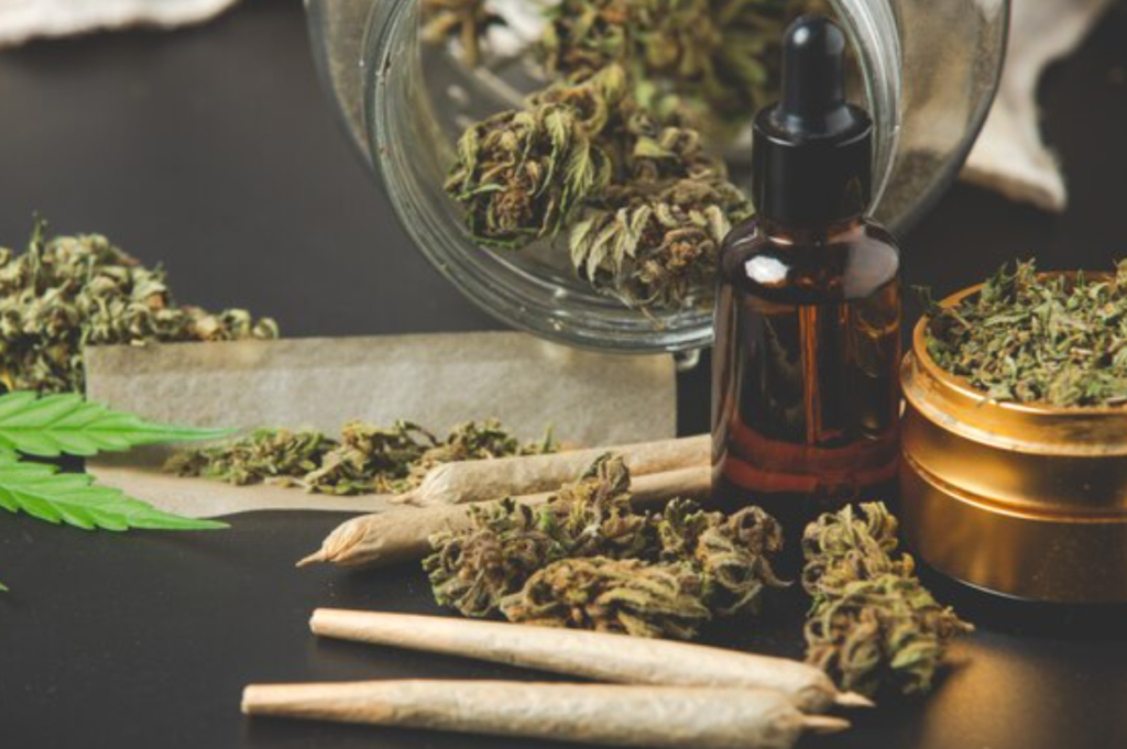 🔴 >> El cannabis recreativo queda fuera de la papeleta electoral en Florida